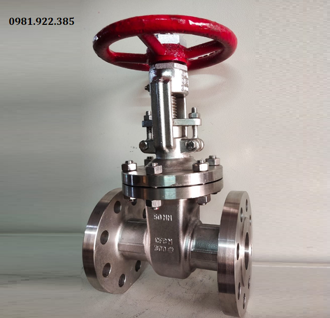 Hình ảnh van chặn inox mặt bích