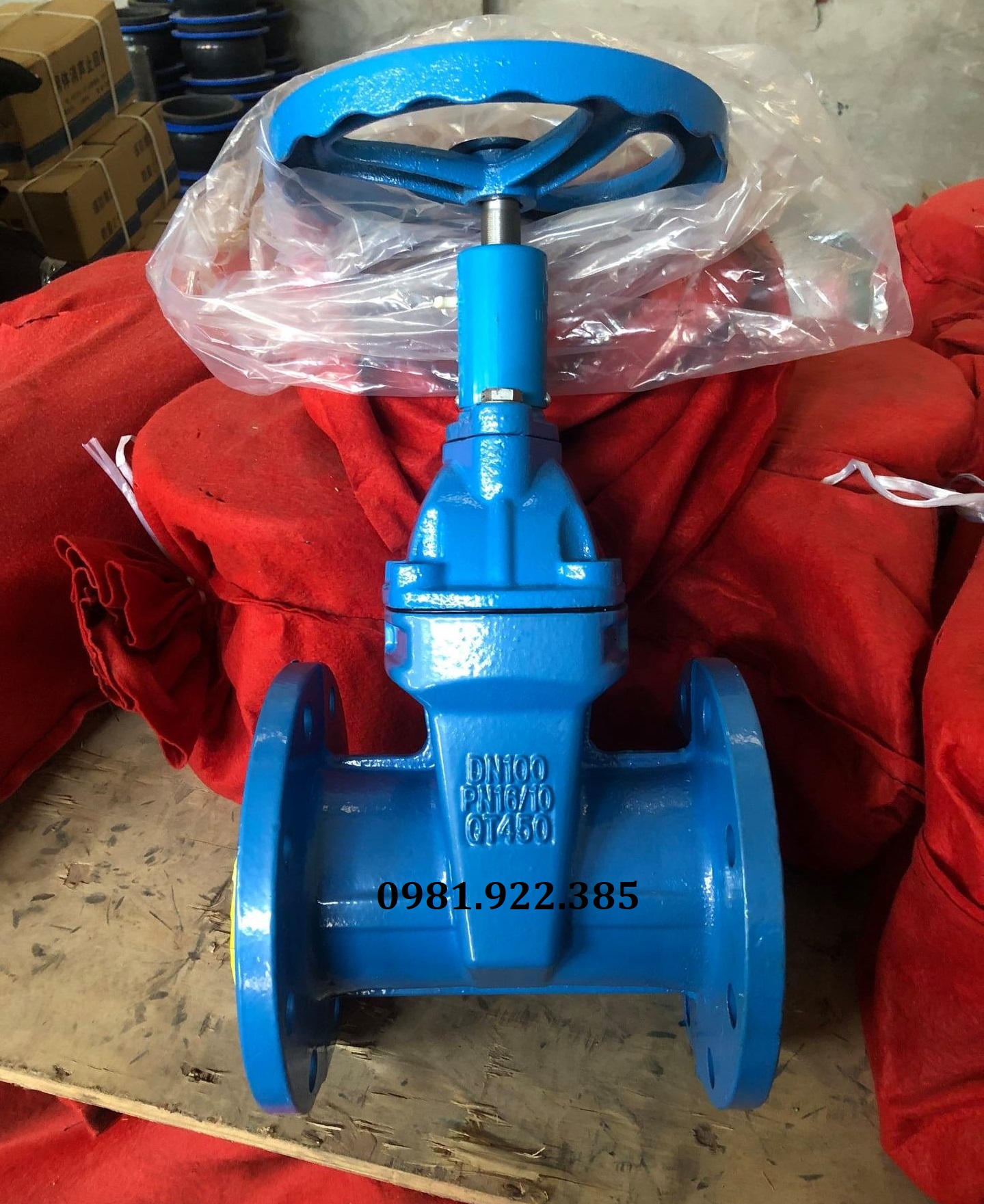 Van cổng gang DN100