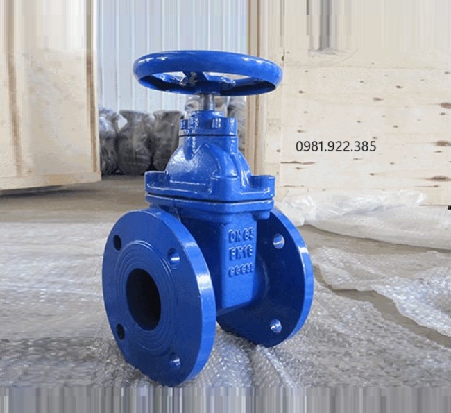Van cửa ty chìm DN65