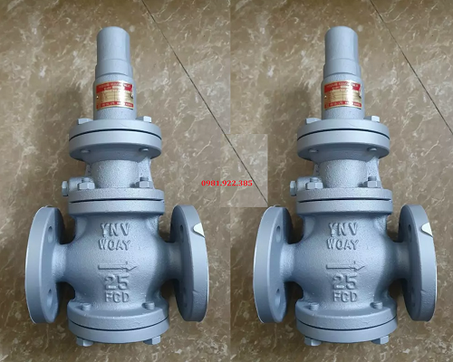 Van giảm áp hơi nóng mặt bích