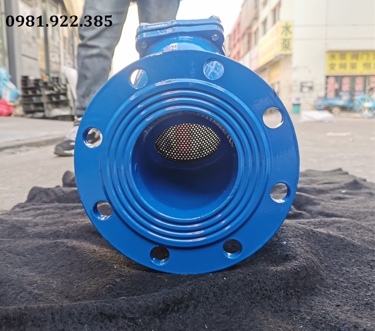 Van lọc y gang mặt bích