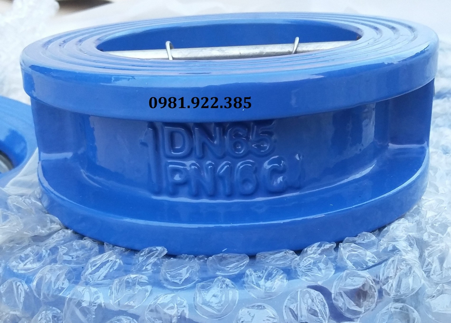 Van một chiều gang cánh bướm DN65