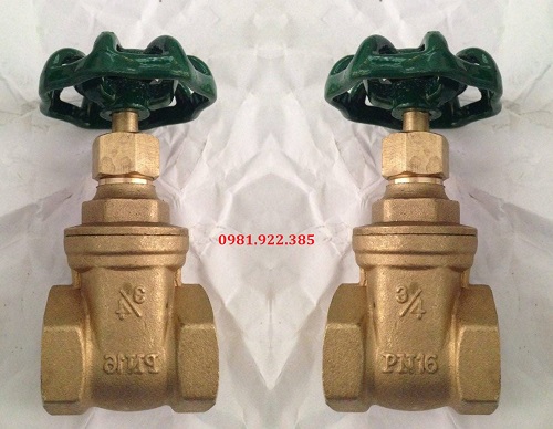 Van cổng đồng nối ren DN20