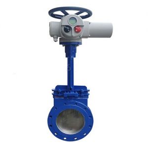 Van cổng dao điều khiển điện