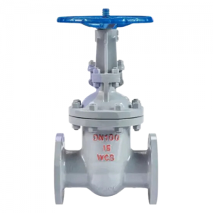 Van cổng Z41H-16C