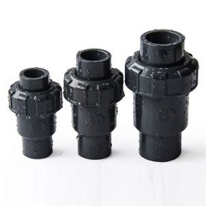 Van một chiều nhựa rắc co đôi
